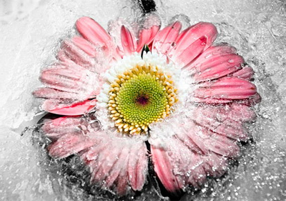 Thawing - Tranisforming core beliefs